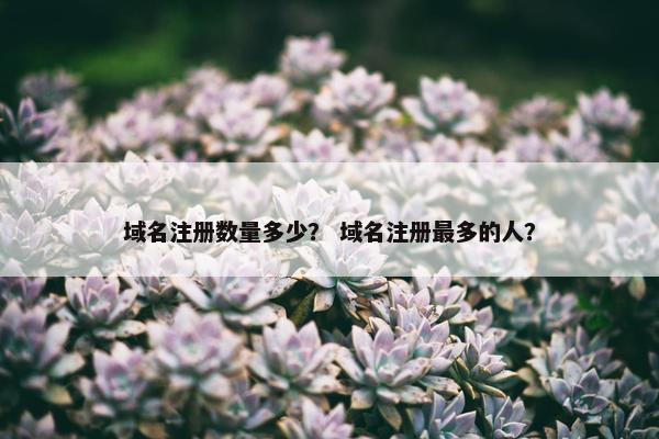 域名注册数量多少？ 域名注册最多的人？