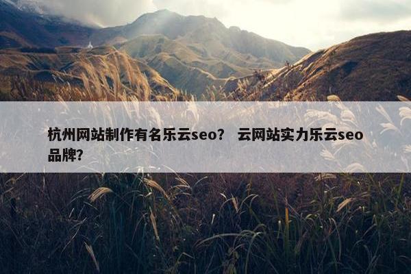 杭州网站制作有名乐云seo？ 云网站实力乐云seo品牌？