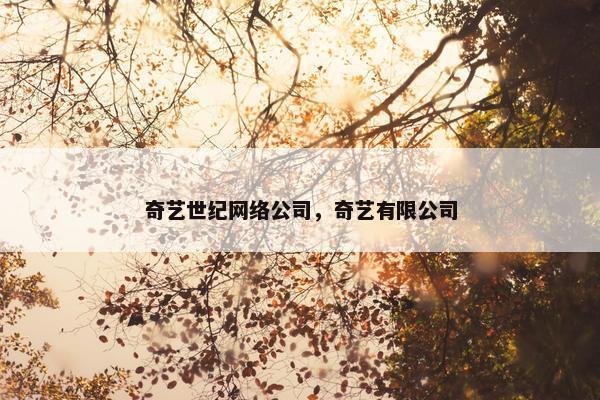 奇艺世纪网络公司，奇艺有限公司