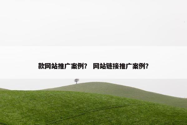 款网站推广案例？ 网站链接推广案例？