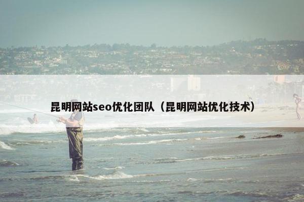 昆明网站seo优化团队（昆明网站优化技术）