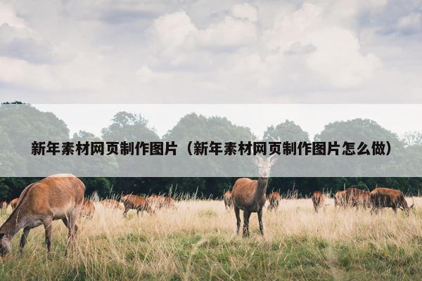 新年素材网页制作图片（新年素材网页制作图片怎么做）