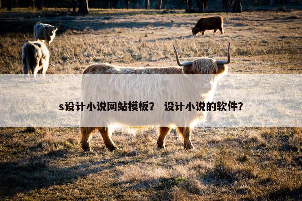 s设计小说网站模板？ 设计小说的软件？