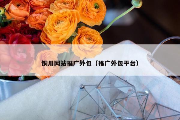 铜川网站推广外包（推广外包平台）