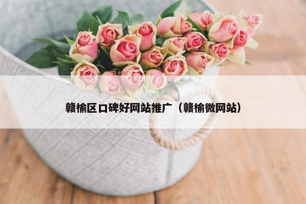 赣榆区口碑好网站推广（赣榆微网站）