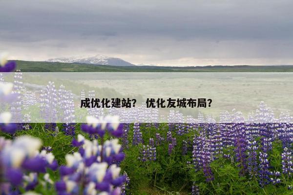 成优化建站？ 优化友城布局？