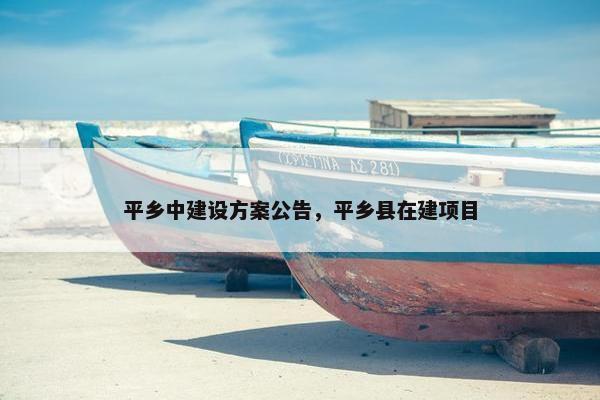 平乡中建设方案公告，平乡县在建项目