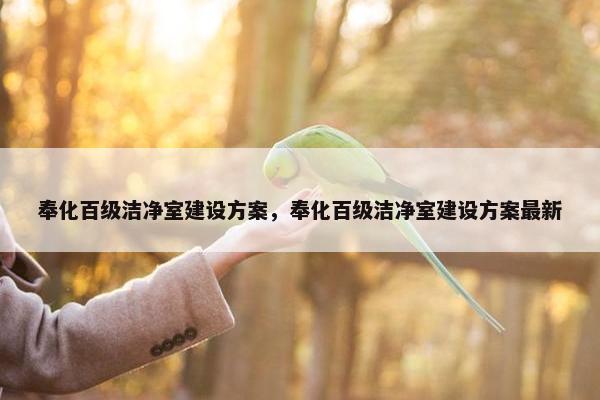 奉化百级洁净室建设方案，奉化百级洁净室建设方案最新