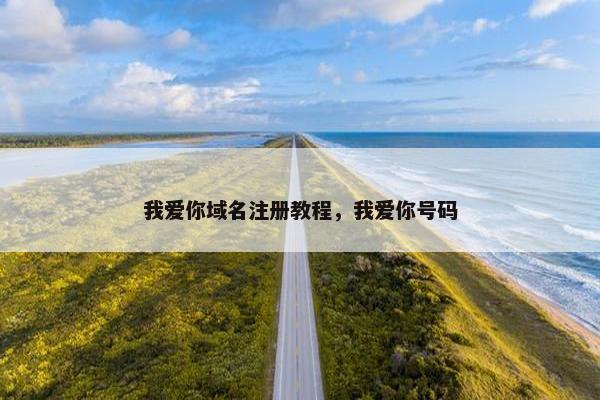 我爱你域名注册教程，我爱你号码
