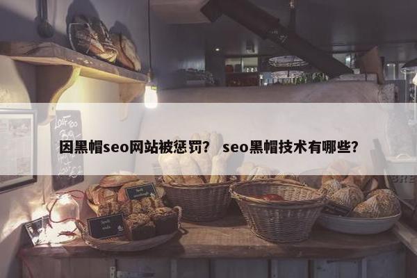 因黑帽seo网站被惩罚？ seo黑帽技术有哪些？