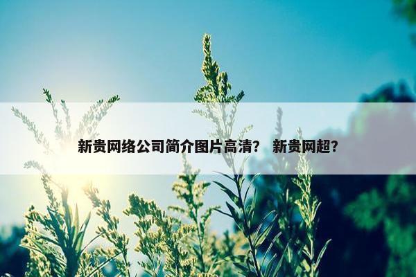 新贵网络公司简介图片高清？ 新贵网超？