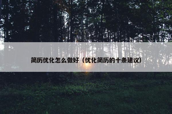 简历优化怎么做好（优化简历的十条建议）