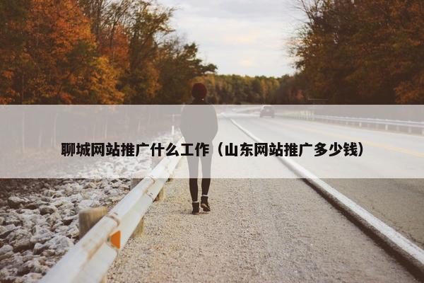 聊城网站推广什么工作（山东网站推广多少钱）