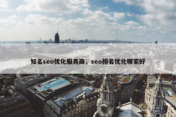 知名seo优化服务商，seo排名优化哪家好