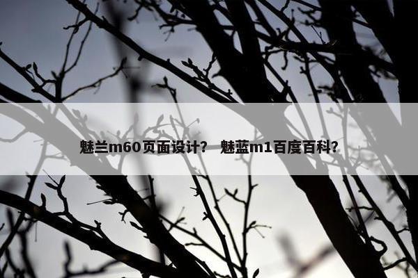 魅兰m60页面设计？ 魅蓝m1百度百科？