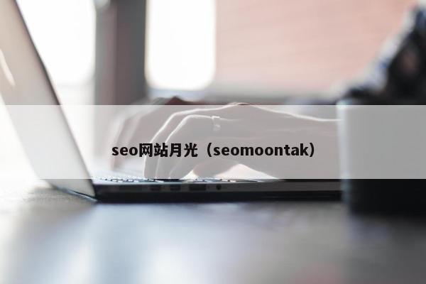 seo网站月光（seomoontak）