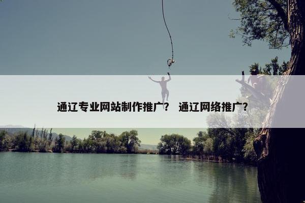 通辽专业网站制作推广？ 通辽网络推广？
