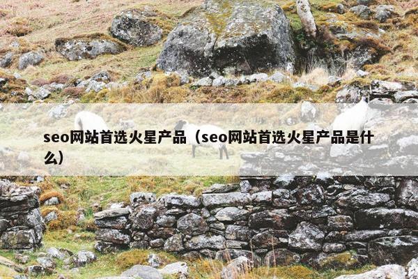 seo网站首选火星产品（seo网站首选火星产品是什么）