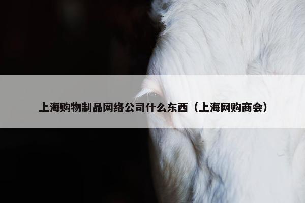 上海购物制品网络公司什么东西（上海网购商会）