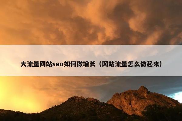 大流量网站seo如何做增长（网站流量怎么做起来）