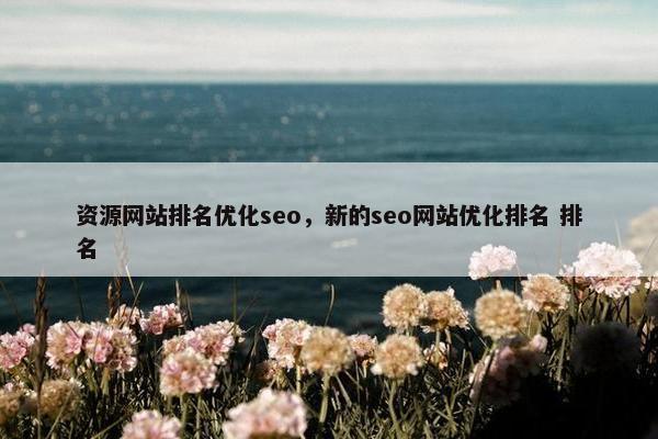 资源网站排名优化seo，新的seo网站优化排名 排名