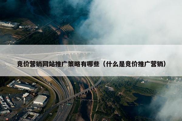 竞价营销网站推广策略有哪些（什么是竞价推广营销）