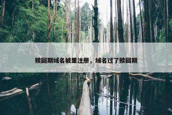 赎回期域名被里注册，域名过了赎回期