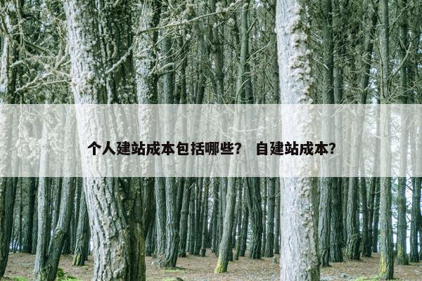 个人建站成本包括哪些？ 自建站成本？