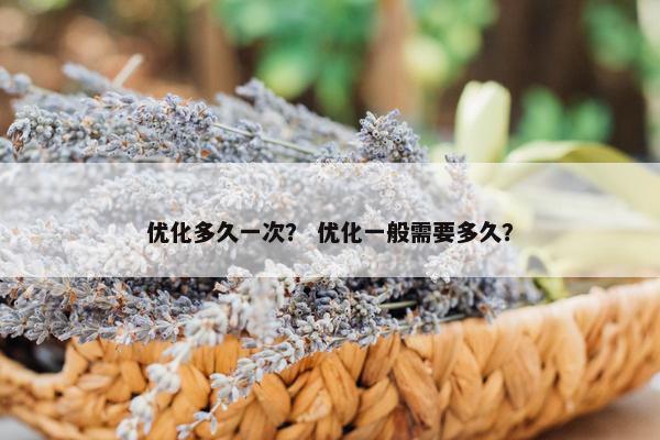 优化多久一次？ 优化一般需要多久？