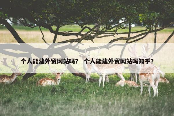 个人能建外贸网站吗？ 个人能建外贸网站吗知乎？