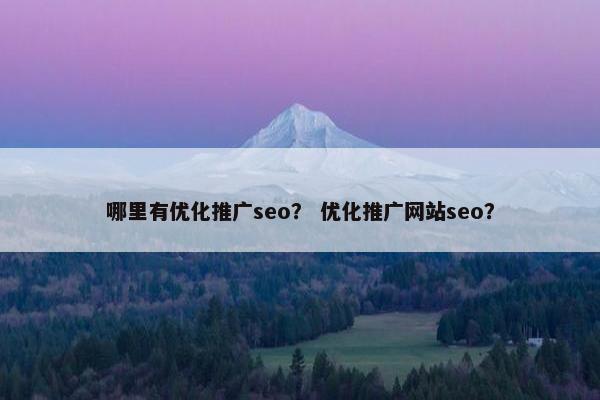哪里有优化推广seo？ 优化推广网站seo？