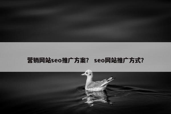 营销网站seo推广方案？ seo网站推广方式？