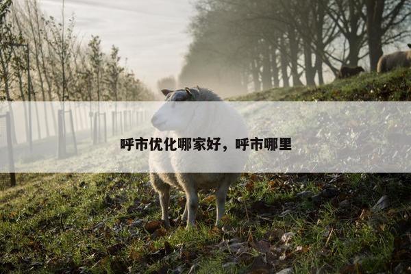 呼市优化哪家好，呼市哪里
