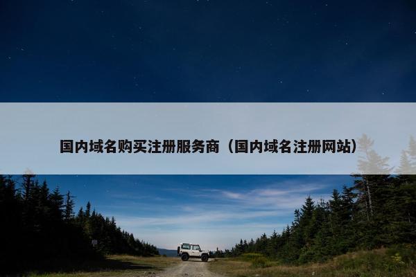 国内域名购买注册服务商（国内域名注册网站）