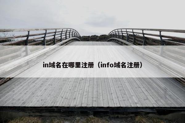 in域名在哪里注册（info域名注册）