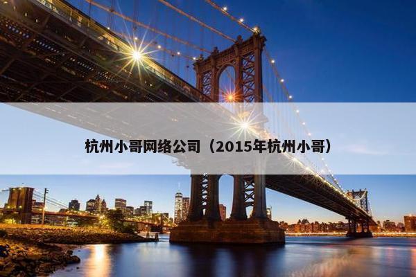 杭州小哥网络公司（2015年杭州小哥）