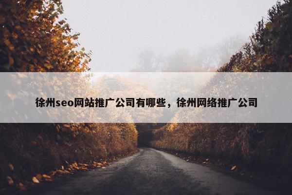 徐州seo网站推广公司有哪些，徐州网络推广公司