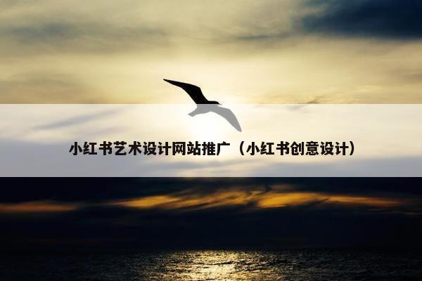 小红书艺术设计网站推广（小红书创意设计）