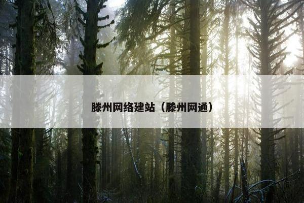 滕州网络建站（滕州网通）