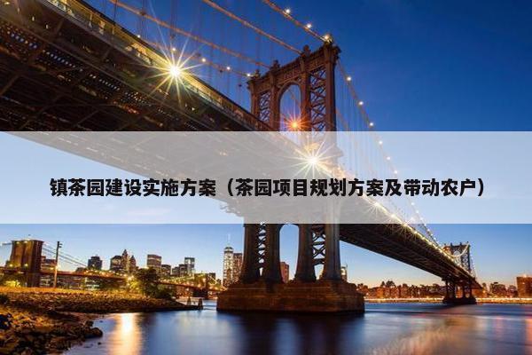镇茶园建设实施方案（茶园项目规划方案及带动农户）
