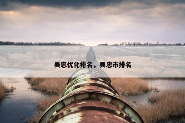 吴忠优化排名，吴忠市排名