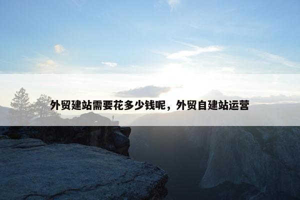 外贸建站需要花多少钱呢，外贸自建站运营