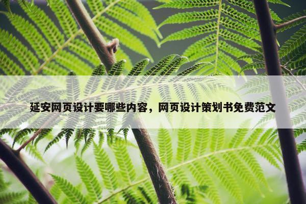 延安网页设计要哪些内容，网页设计策划书免费范文
