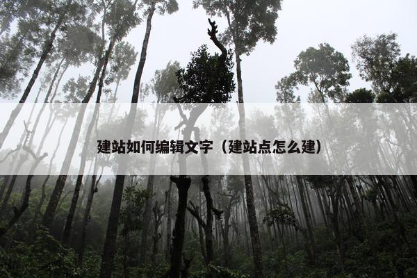 建站如何编辑文字（建站点怎么建）