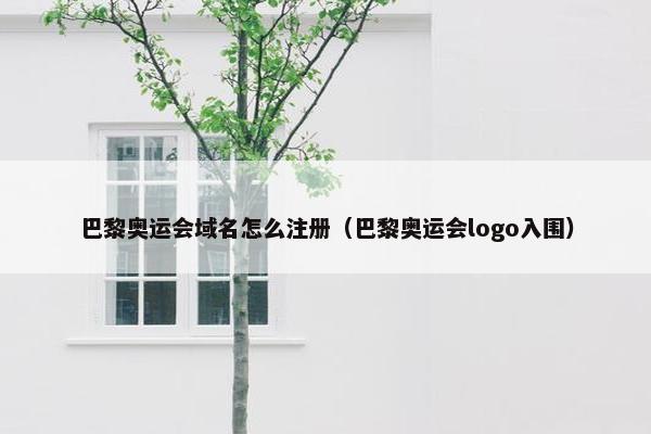 巴黎奥运会域名怎么注册（巴黎奥运会logo入围）