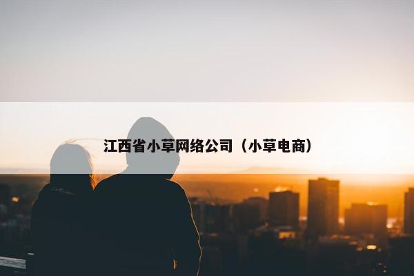 江西省小草网络公司（小草电商）