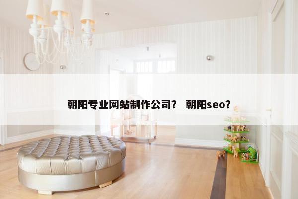 朝阳专业网站制作公司？ 朝阳seo？