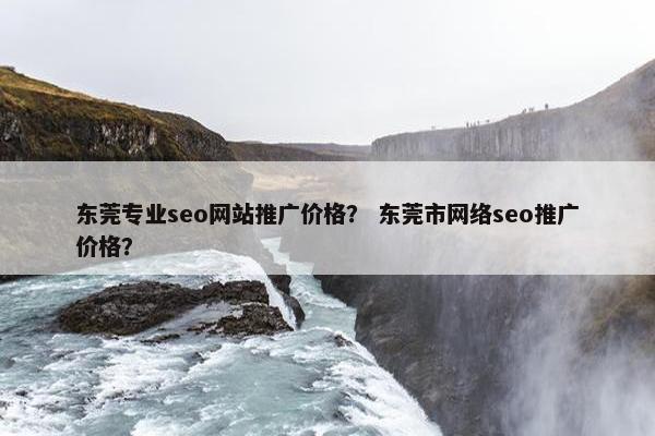 东莞专业seo网站推广价格？ 东莞市网络seo推广价格？