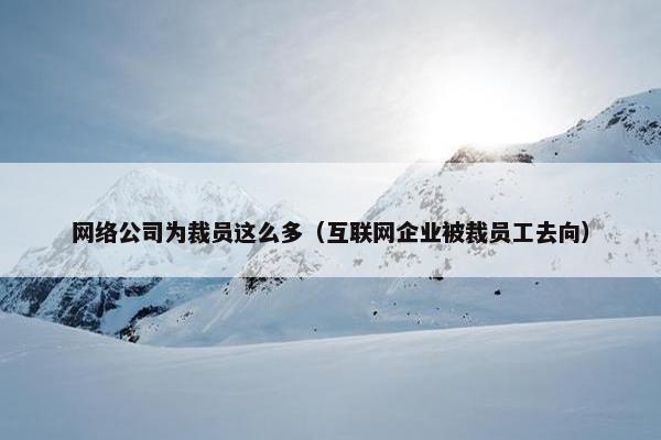 网络公司为裁员这么多（互联网企业被裁员工去向）