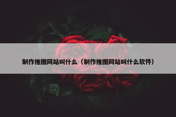 制作推图网站叫什么（制作推图网站叫什么软件）